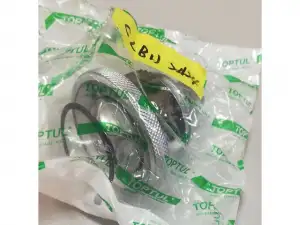 купить Ремкомплект для трещоток CHFS2451, CHES2408 TOPTUL