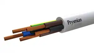 купить Провод ПВС 5х4 Б (бухта) (м) РЭК-PRYSMIAN 0105060201