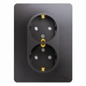 купить Розетка 2-м СП Glossa 16А IP20 250В с заземл. защ. шторки в сборе графит SE GSL001326