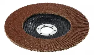 купить STAYER 125 х 22.2 мм, P60, КЛТ, Круг лепестковый торцевой, Professional (36581-125-060)