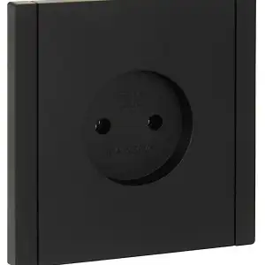 купить Розетка 1-м СП FORTE&PIANO FP118 10А без заземл. без защ. шторок винт. крепл. черн. IEK FP-R10-10-K02