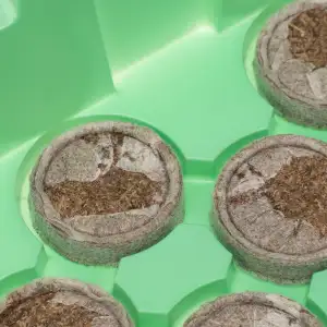 купить Мини-парник с крышкой, с торфяными таблетками, 240х125х50 мм, 11 ячеек, полистирол