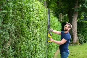 купить ONE + / Кусторез RYOBI RY18HT55A-120