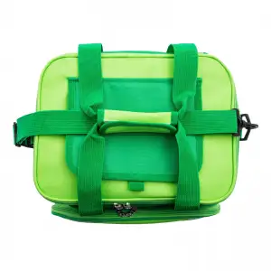 купить Сумка холодильник 320 x 250 x 240 мм, с двумя охлаждающими блоками Camping Palisad