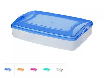 Контейнер пласт. прямоуг.1.2 л, с крышкой, Frigo Plus, DRINA (250x170x60, цвета в ассортименте, подходит для хранения пищ.пр-тов) наличный и безналичный расчет