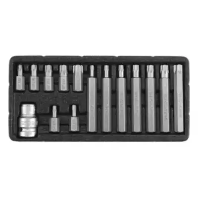 Головки-биты специальные TORX TAMPERPROOF T20-T55 L30мм (набор 15пр.) "Yato" наличный и безналичный расчет