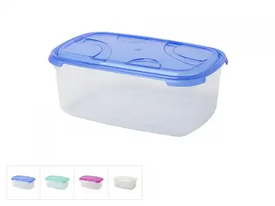 Контейнер пласт. прямоуг. 0.9 л, с крышкой, Frigo Plus, DRINA (цвета в ассортименте) наличный и безналичный расчет