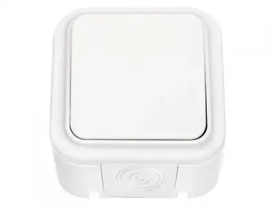 Выключатель 1 клав. (открытый, 6А, брызг. защ.) белый, Пралеска Аква, Bylectrica (IP54 пылебрызгозащищенные) наличный и безналичный расчет