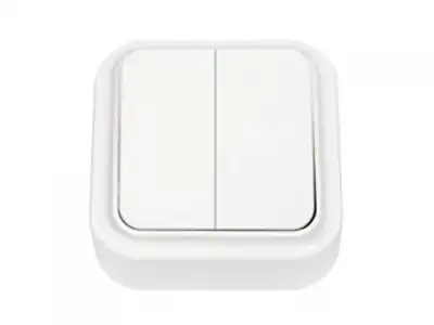 Выключатель 2 клав. (открытый, 6А) белый, Пралеска, Bylectrica наличный и безналичный расчет