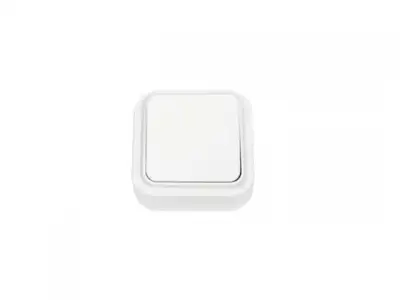 Выключатель 1 клав. (открытый, 6А) проходной белый, Пралеска, Bylectrica наличный и безналичный расчет