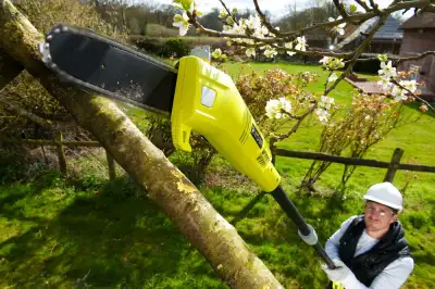 Высоторез цепной электрический RYOBI RPP750S наличный и безналичный расчет