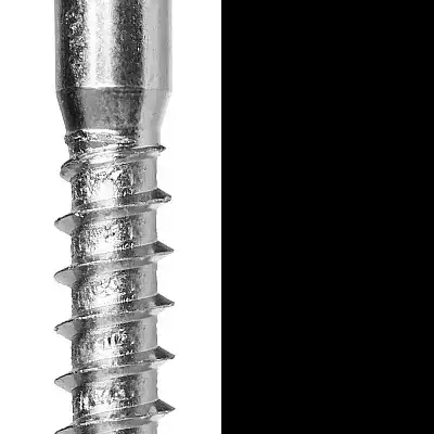 Шурупы ШДШ с шестигранной головкой (DIN 571), 160 х 10 мм, 25 шт, ЗУБР наличный и безналичный расчет