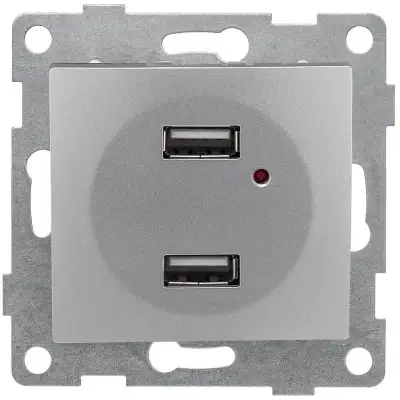 Розетка USB 2-м СП Bravo механизм серебр. GUSI С10USB2-004 наличный и безналичный расчет