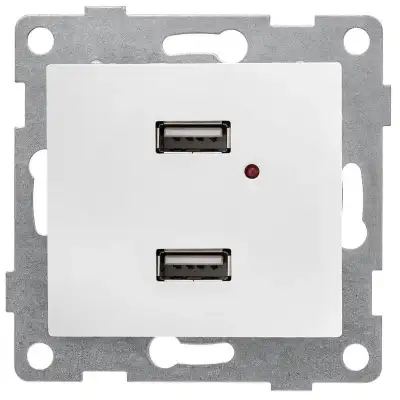 Розетка USB 2-м СП Bravo механизм бел. GUSI С10USB2-001 наличный и безналичный расчет