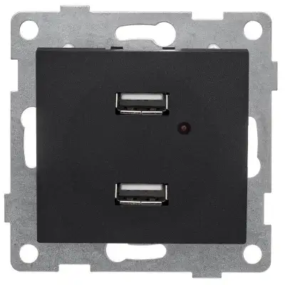 Розетка USB 2-м СП Bravo механизм графит GUSI С10USB2-010 наличный и безналичный расчет