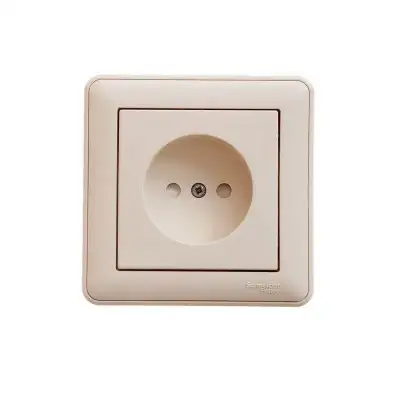 Розетка 1-м СП W59 16А IP20 без заземл. защ. шторки сл. кость SE RS16-151-28 наличный и безналичный расчет