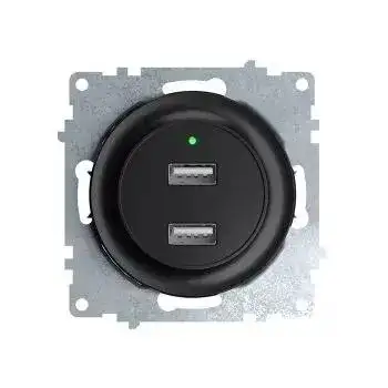 Розетка USB 2-м СП Florence 16А IP20 с подсветкой механизм черн. (1E10351303) OneKeyElectro 2260092 наличный и безналичный расчет