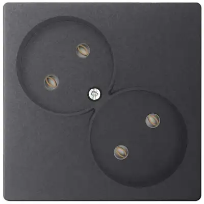 Розетка 2-м СП Simon 24 16А IP20 2х2P без защ. шторок механизм графит Simon 2450457-038 наличный и безналичный расчет