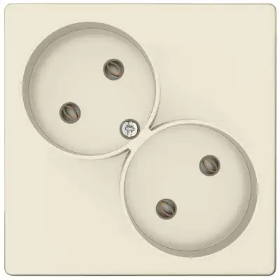 Розетка 2-м СП Simon 24 16А IP20 2х2P без защ. шторок механизм сл. кость Simon 2450457-031 наличный и безналичный расчет