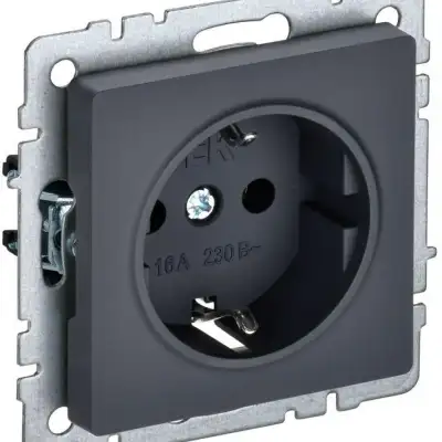 Розетка 1-м СП BRITE РС11-1-0-БрГ 16А с заземл. без защ. шторки графит IEK BR-R11-16-K53 наличный и безналичный расчет