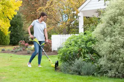 ONE + / Триммер RYOBI RLT183225F наличный и безналичный расчет