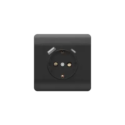 Розетка NEW3-E 16А с заземл. защ. шторки с 2-мя заряд. устройствами USB A+C 5В/2.1А черн. CHINT 431502 наличный и безналичный расчет