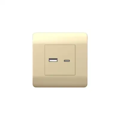 Розетка USB NEW3-E тип A+C 5В/2.1А шампань CHINT 431450 наличный и безналичный расчет