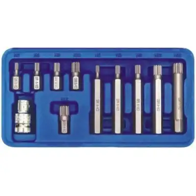Головки-биты специальные SPLINE m5-m12 (набор 11пр.) "Vorel" наличный и безналичный расчет