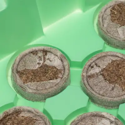 Мини-парник с крышкой, с торфяными таблетками, 240х125х50 мм, 11 ячеек, полистирол наличный и безналичный расчет