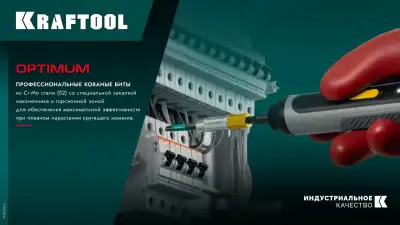 KRAFTOOL OPTIMUM PH/FL 1, 50 мм, 2 шт, биты (261221-1-50-2) наличный и безналичный расчет